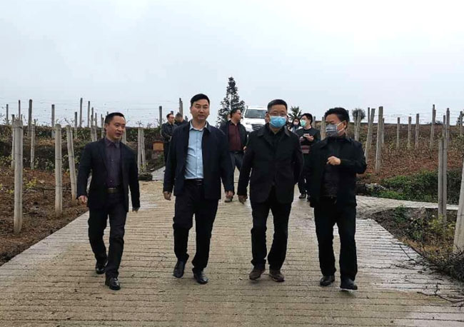 图片：调研白泥乡沙坝村残疾人扶贫产业园建设情况