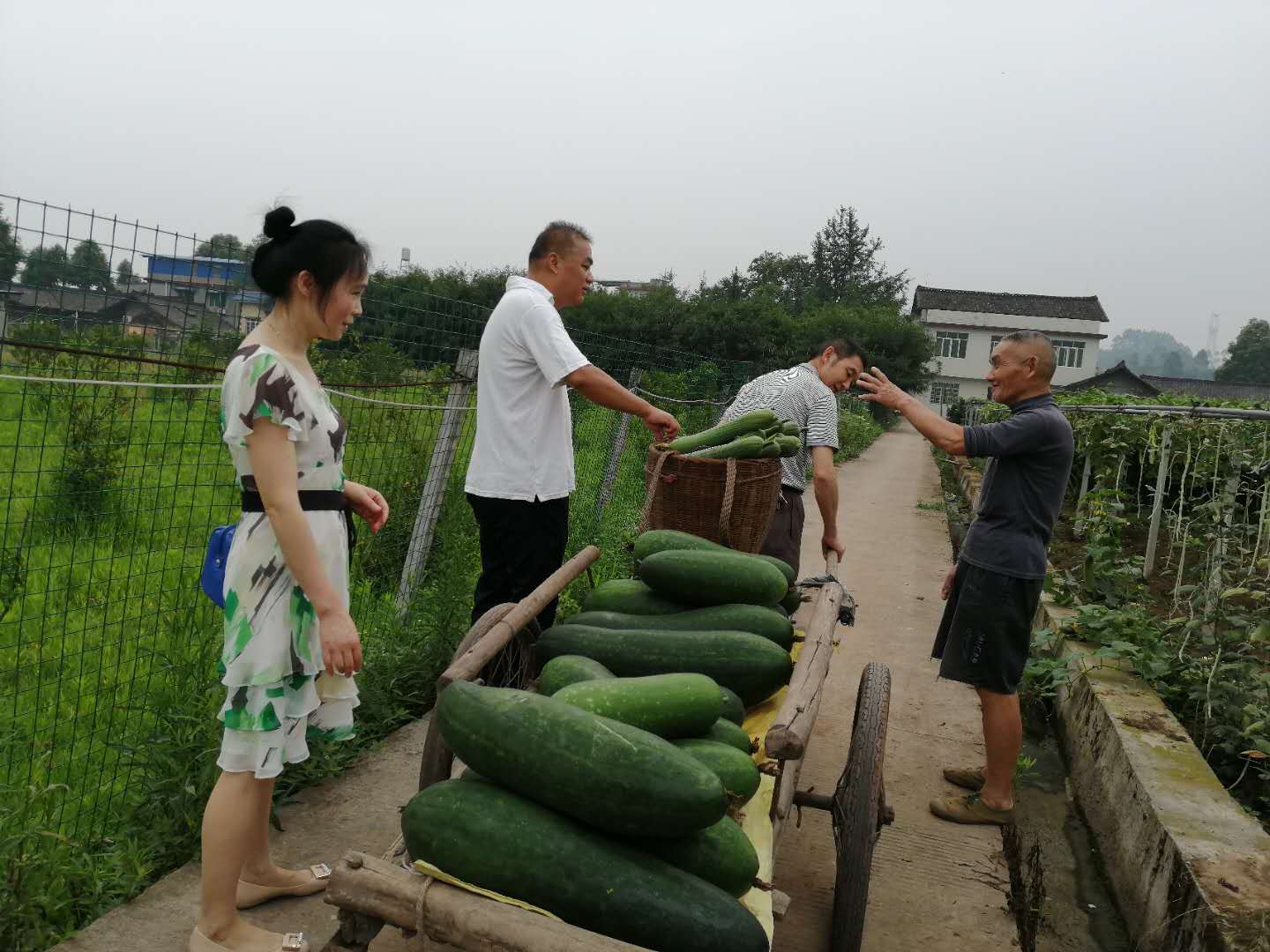 乐山市残疾人康复就业服务中心主题党日活动现场