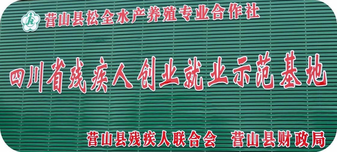图片：建立残疾人创业就业脱贫示范区